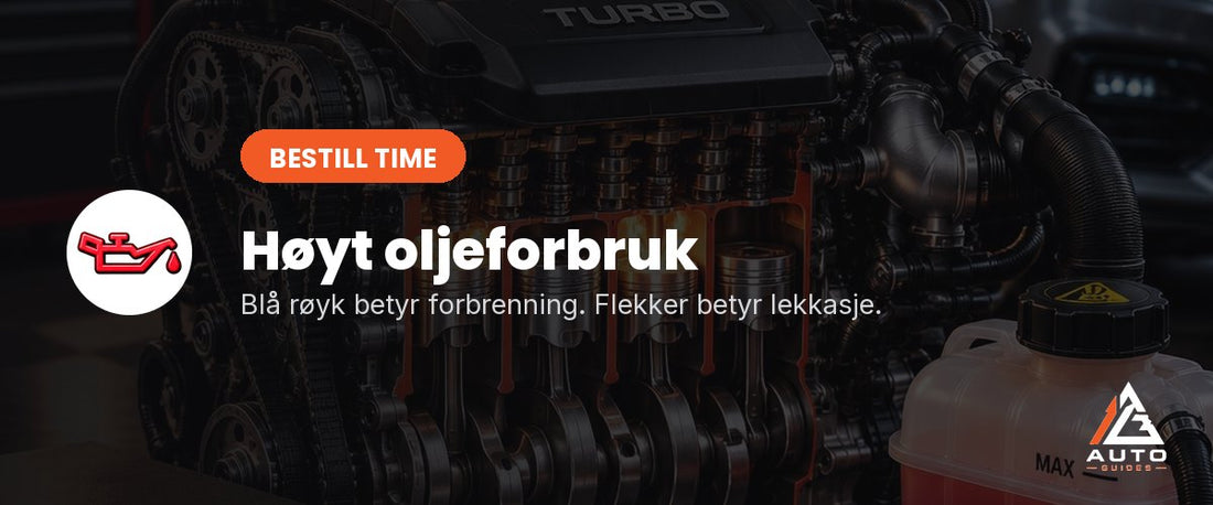 Motor i snitt