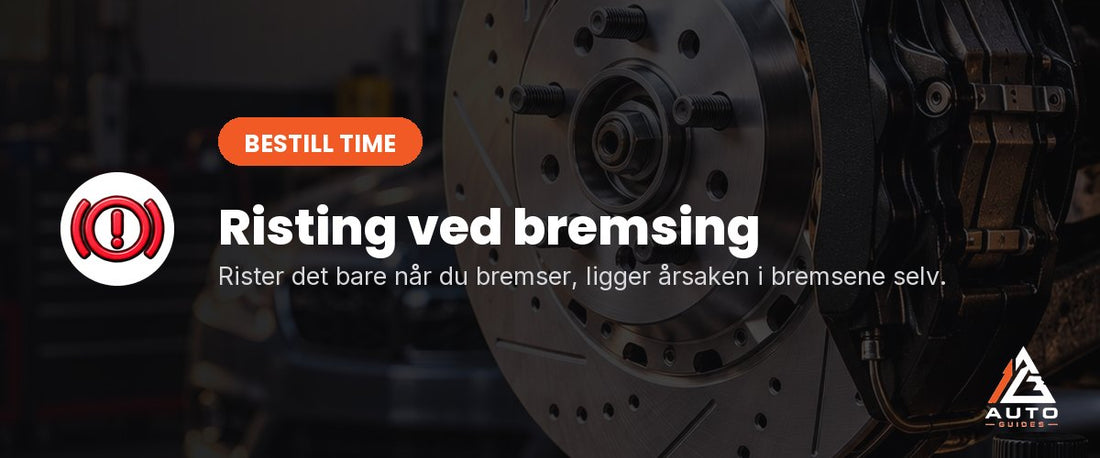 Bremseskive og kaliper
