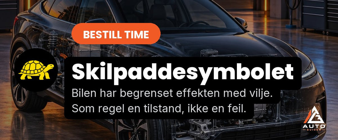 Skilpaddesymbolet