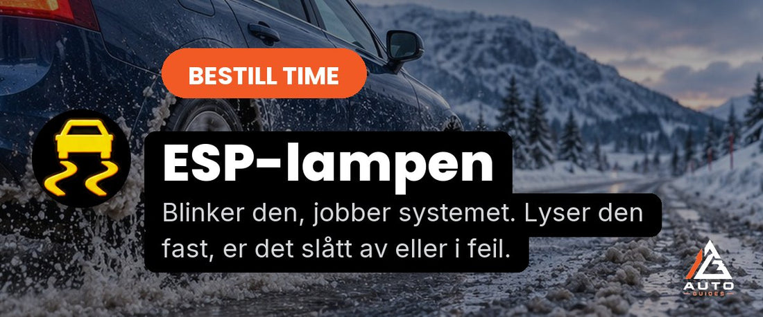 ESP-lampen