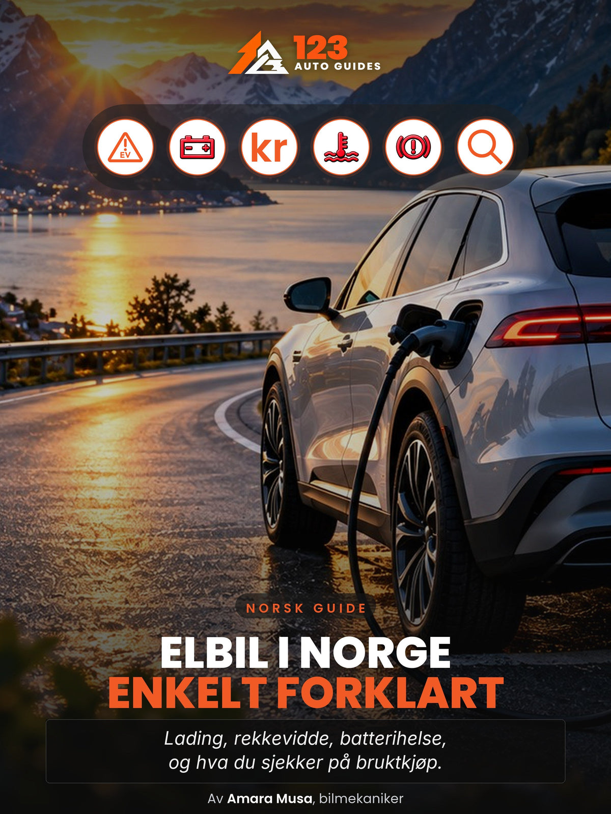 Elbil i Norge forklart enkelt, omslag