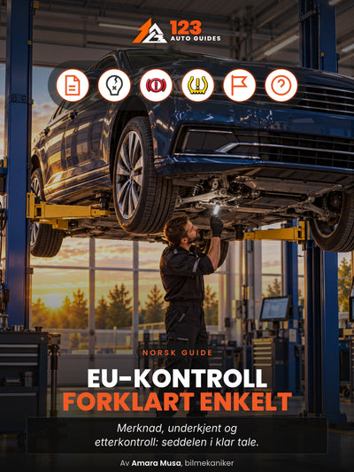 EU-kontroll forklart enkelt, omslag