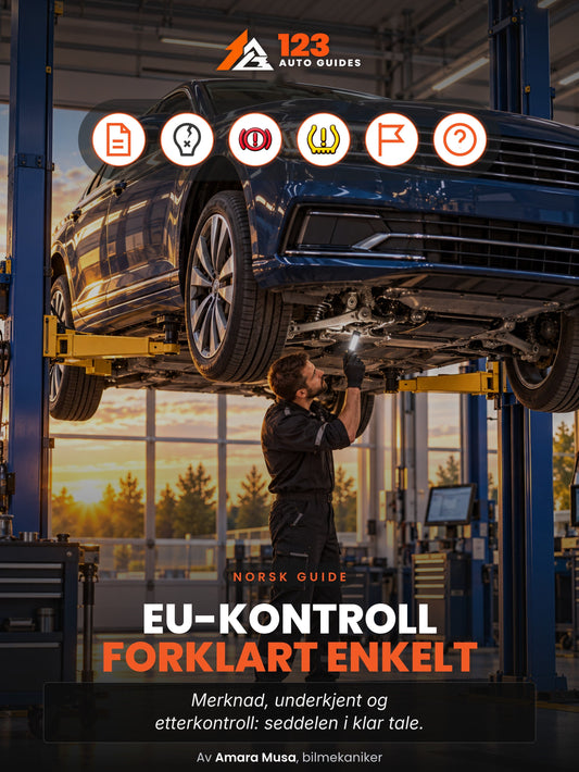 EU-kontroll forklart enkelt, omslag