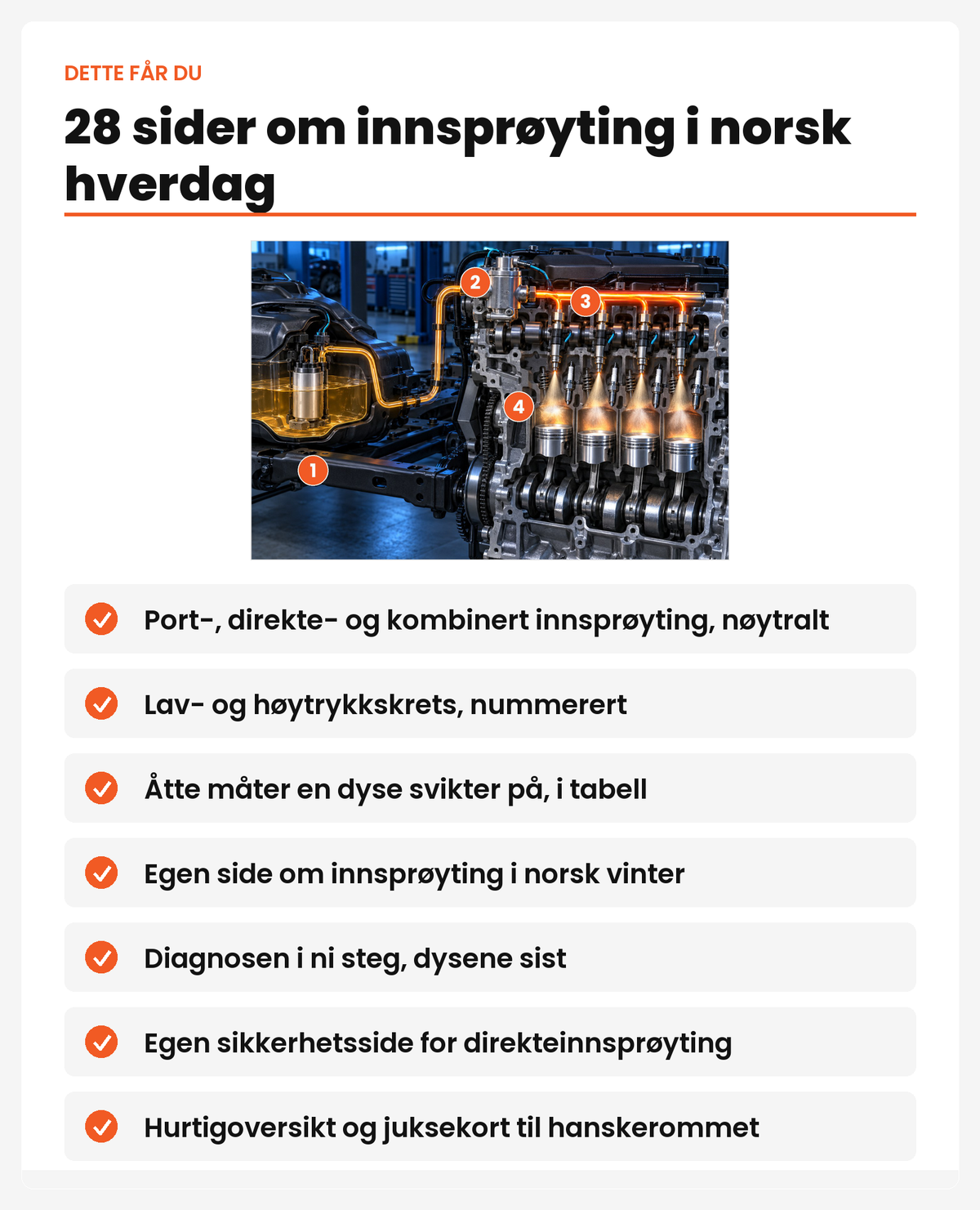 28 sider om innsprøyting i norsk hverdag