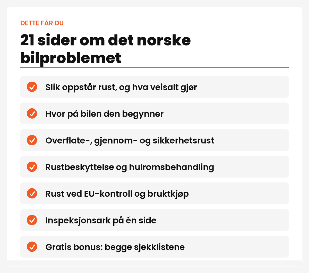 21 sider om det norske bilproblemet