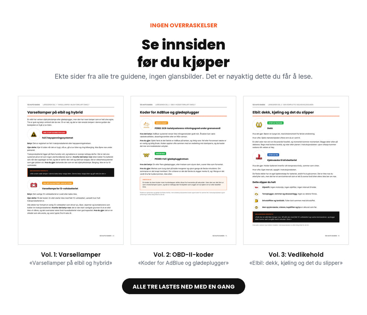 Se innsiden før du kjøper: tre ekte sider fra Vol. 1 (Varsellamper), Vol. 2 (OBD-II-koder) og Vol. 3 (Vedlikehold).